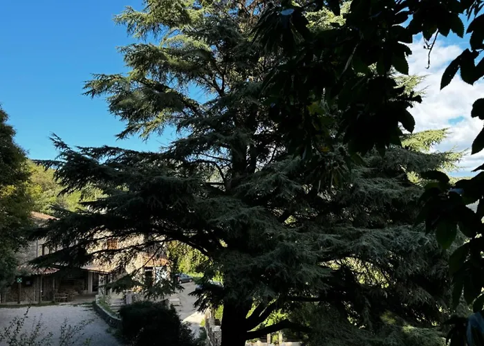 Bed & Breakfast Les Terrasses De La Borie Mandagout